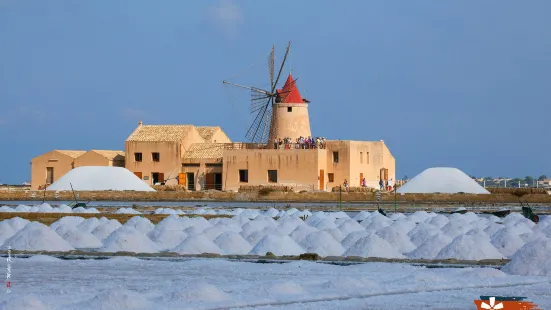 Saline of the Laguna Marsala