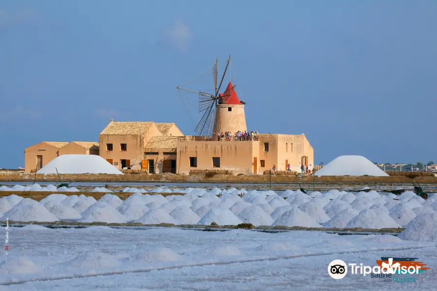 Saline of the Laguna Marsala