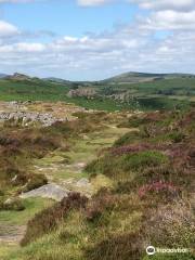 Dartmoor's Daughter