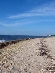 Ponquogue Beach