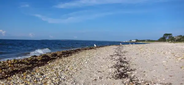 Hampton Bays