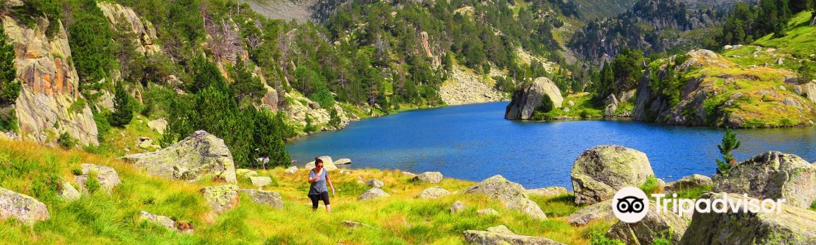 travel