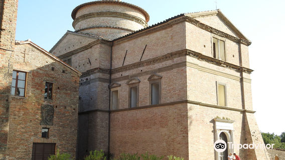 Urbino
