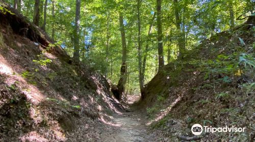 The Natchez Trace Parkway