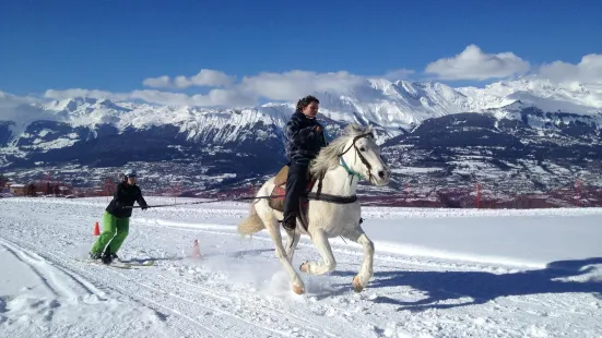 Ski Joëring