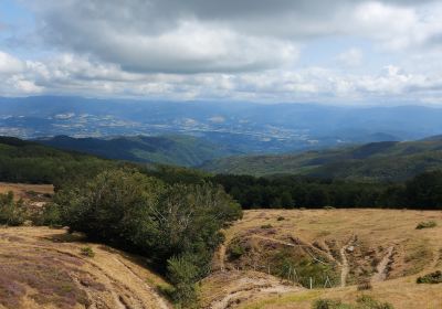 Croce del Pratomagno