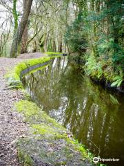 Tavistock Canal