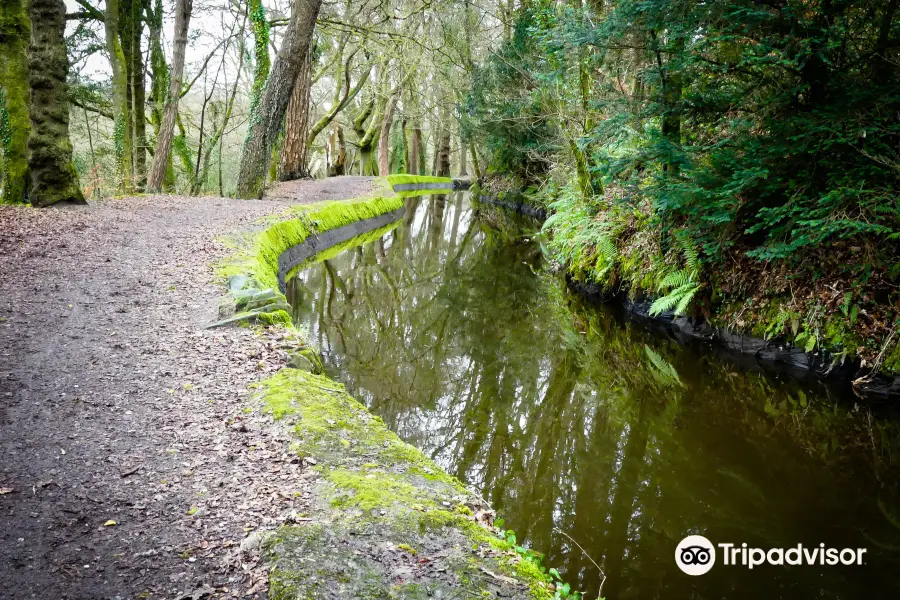 Tavistock Canal