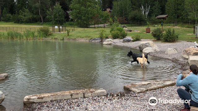 Hugh Rogers Wag Park