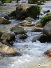 The Nahal Snir Nature Reserve （Hasbani）