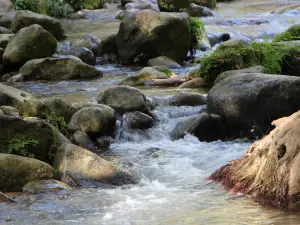 The Nahal Snir Nature Reserve （Hasbani）