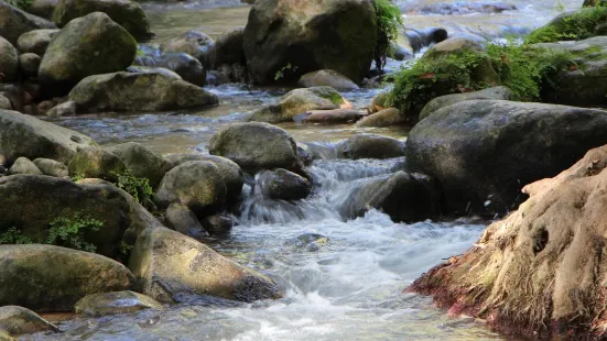 The Nahal Snir Nature Reserve （Hasbani）