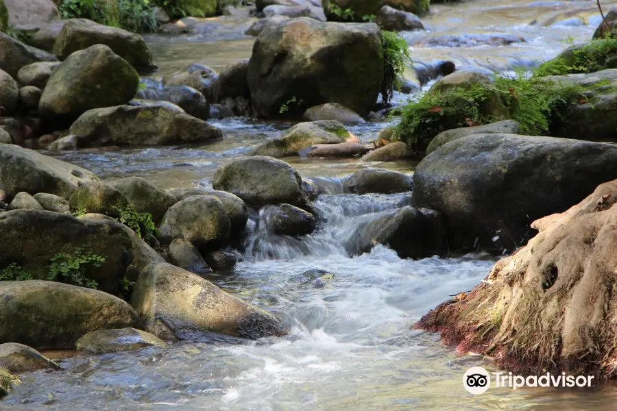 Nahal Snir Nature Preserve