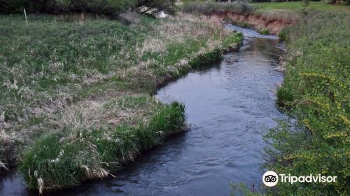 Kin Coulee Park