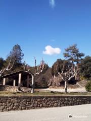 Cementerio de Olius