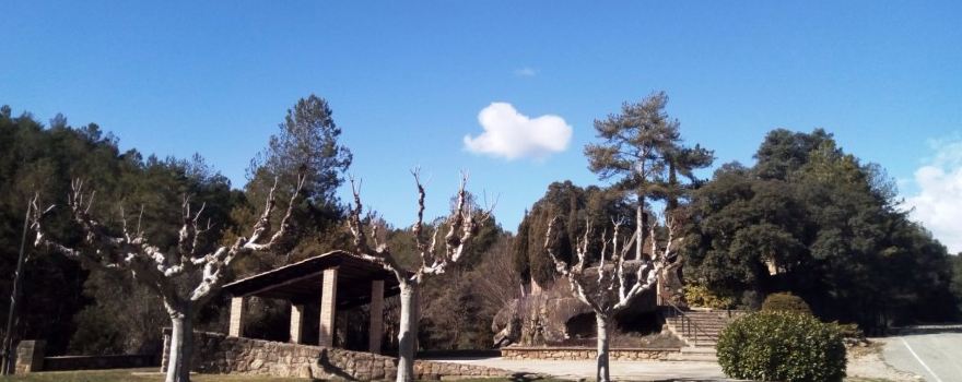 Cemetery of Olius