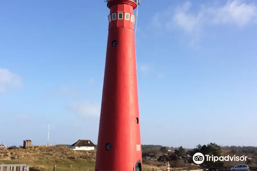 Parco nazionale di Schiermonnikoog