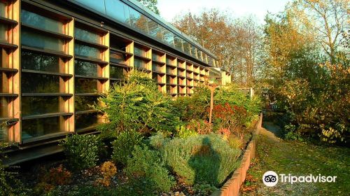 Trafford Ecology Park, Groundwork