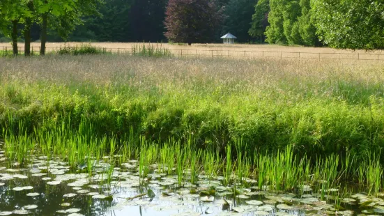 Nationaal Park Zuid Kennemerland