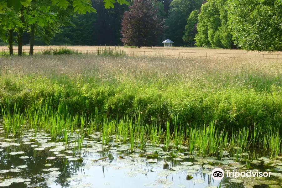 Nationaal Park Zuid Kennemerland