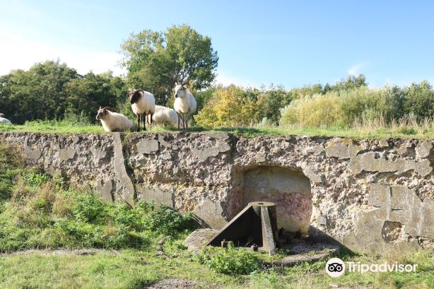 Fort Sabina