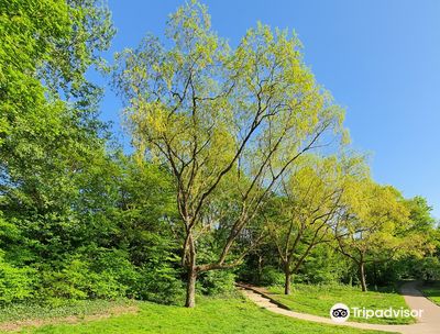 Henri Dunant park