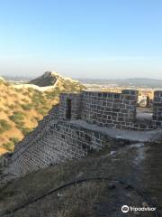 Bhujia Fort