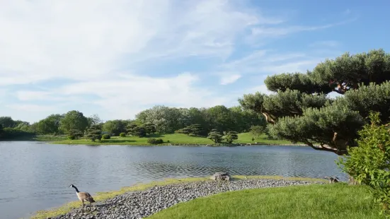 Skokie Lagoons