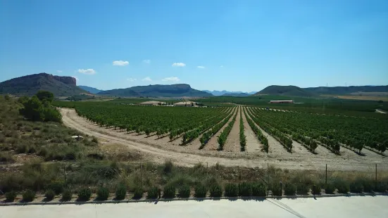 Bodega Hijos de Juan Gil