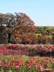 Owens Conservation Park