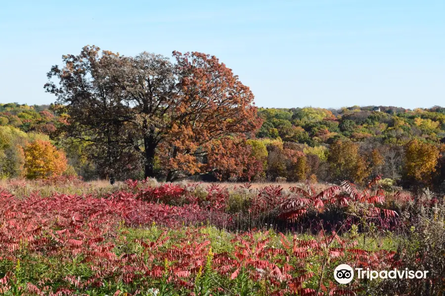 Owens Conservation Park