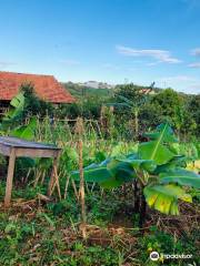 Đak Nong Eco Farm