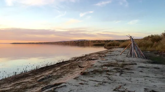 Lesser Slave Lake