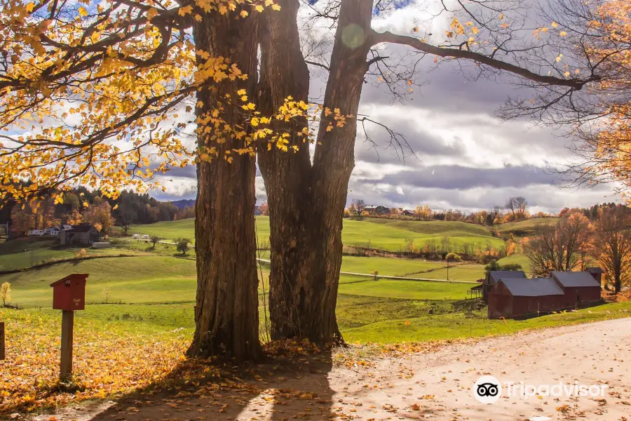 Woodstock Vermont Historical Society