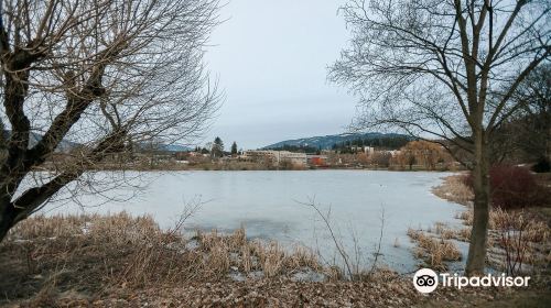 McGuire Lake Park