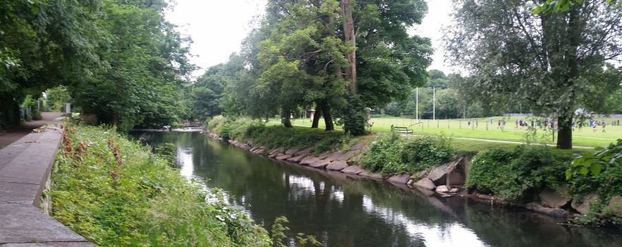 Newbridge Fields