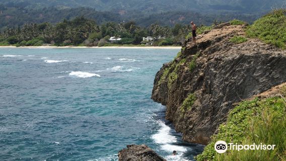 Lāʻie Point State Wayside