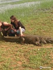 Sacred Crocodile Ponds