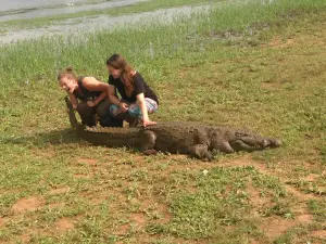 Sacred Crocodile Ponds