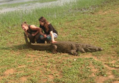 Sacred Crocodile Ponds