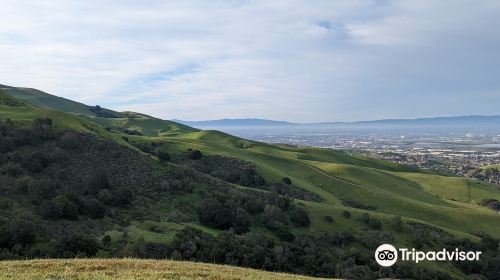 Mission Peak Regional Preserve