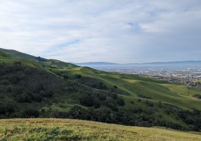 Mission Peak Regional Preserve