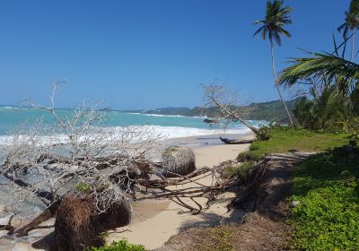 Playa Rincon