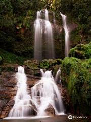 Cascada Corazon del Bosque