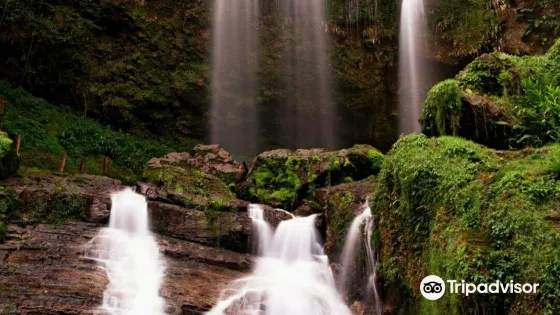 Cascada Corazon del Bosque