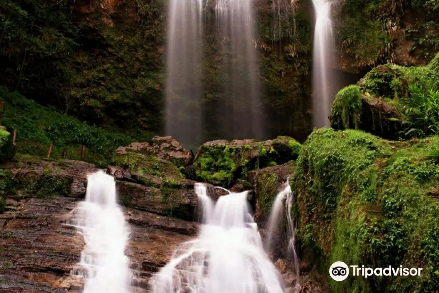 Cascada Corazon del Bosque