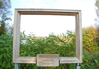 Naturschutzgebiet Dammer Bergsee