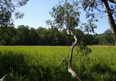 Mummel Gulf National Park