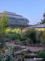 Jardín Botánico del Instituto Botánico V.L. Komarov