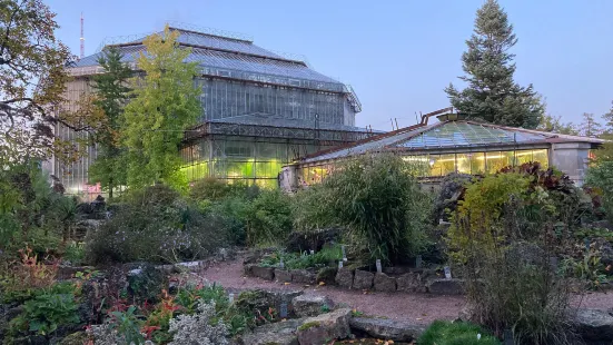 聖彼得堡植物園